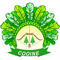 Cooine