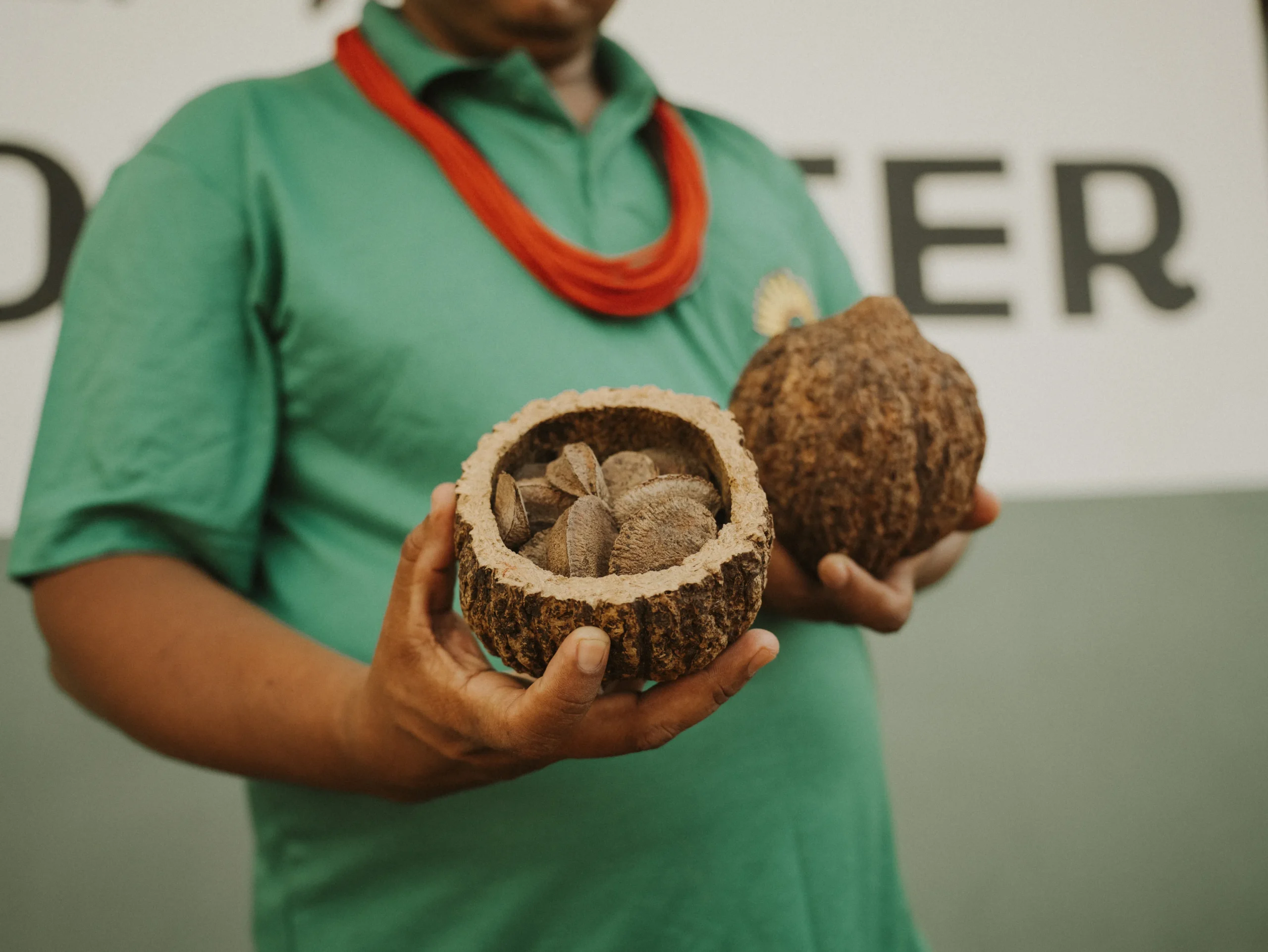 Artesanato com sementes amazônicas