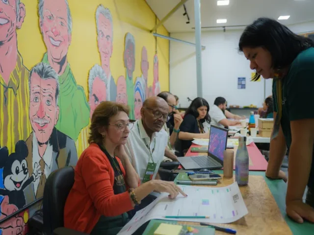 Institucionalização