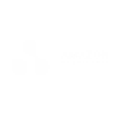 AMAZON NANO