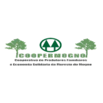 coopermogno logo