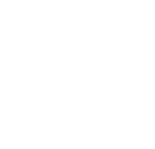 Dr. da borracha