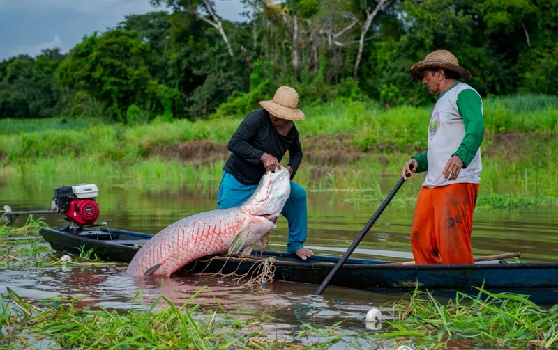Inscrições para chamada gratuita para o Programa EcoAm seguem até dia 31