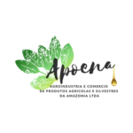 Logo-_apoena-SVG-_1_